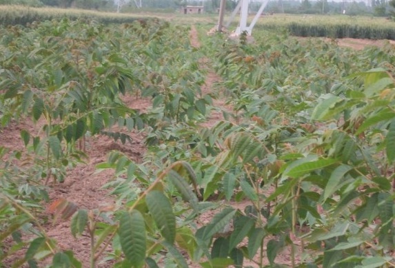 1629948144150709.jpg AKHO4TI`7E$_JWWV}HQMMX5.jpg