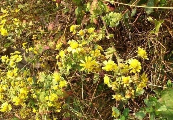 1629948529882600.jpg 4198(V38AJK0KX6XLR5}I`W.jpg