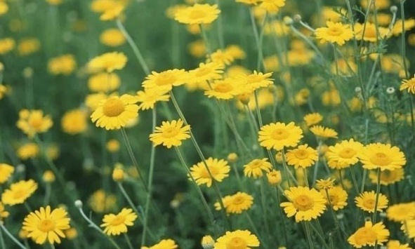 1629948541966256.jpg J7D6XV{7%9_TF`4V0P0SK$X.jpg