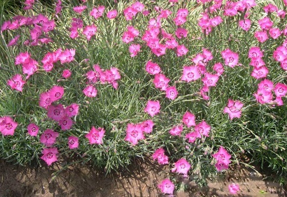 1629948914210444.jpg 2(MU@7C0V_O13_3$8%GJ{II.jpg