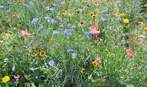 1629948925953393.jpg LG0GX8}L)I~PA_UI%7(7KPM.jpg