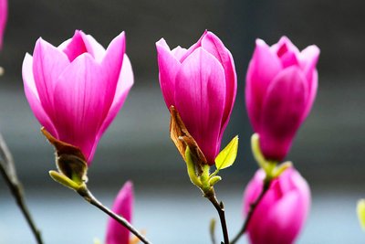 1629975973710090.jpg 1629975973710090.jpg