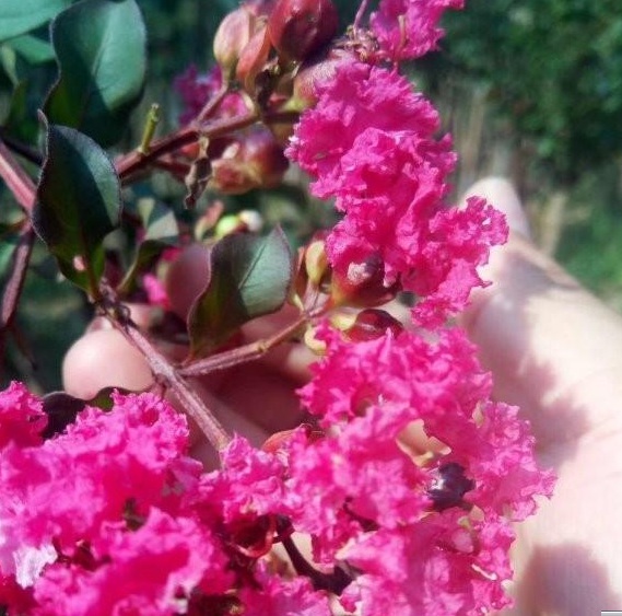 1630066548768585.jpg YN7$Z)@Y{HBR3AM1NZ78P}2.jpg