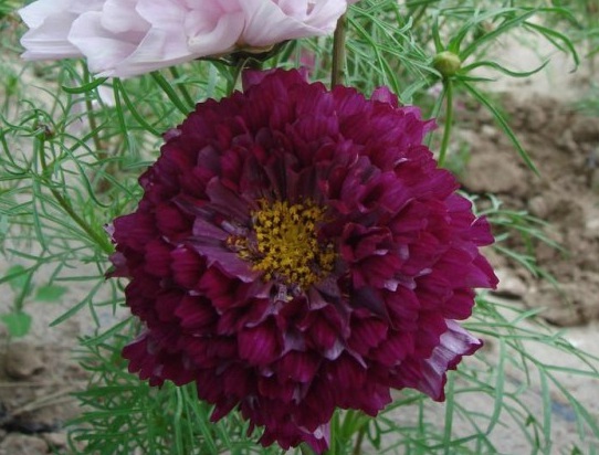 1630069556791681.jpg ZS70K%N5F{K(RPE(0HXIUTP.jpg