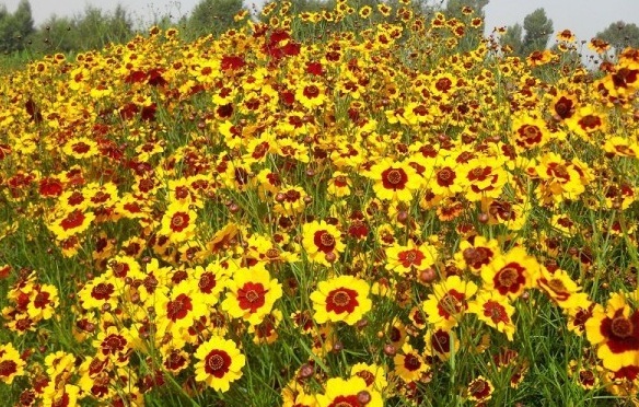 1630070766273328.jpg KPYO%YJGQ~QTCSO`TYO$%30.jpg