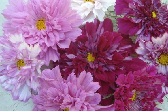 1630070982615665.jpg G2DS6B[7}HD(V(YPI3HKMGF.jpg