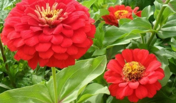 1630071763418003.jpg ~03TRKIP635[I}I0%JI}7)0.jpg