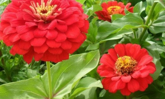 1630071832827427.jpg SV[`QCH`W3YS8RYN[XJCXJL.jpg