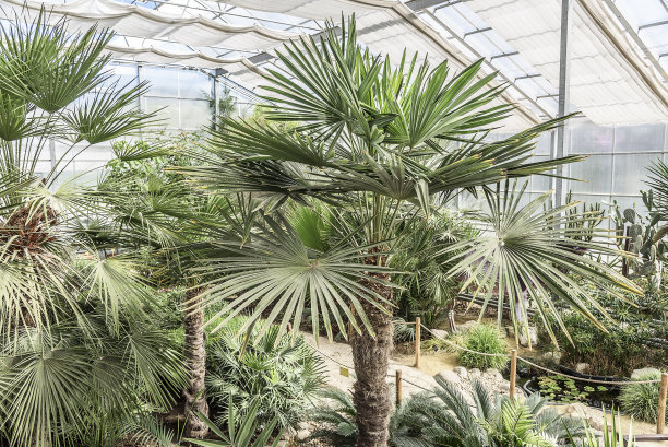 1630075490170501.jpg 1630075490170501.jpg