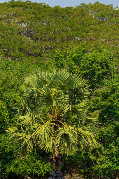 1630075490209863.jpg 1630075490209863.jpg