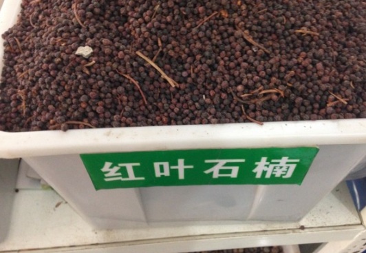 1630117286612073.jpg image.jpg