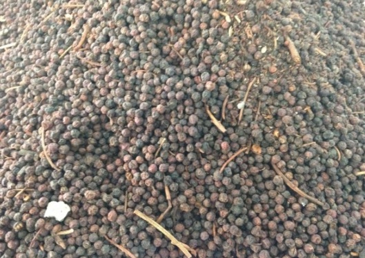 1630117299309600.jpg image.jpg