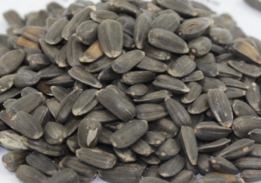 1630117788453809.jpg image.jpg