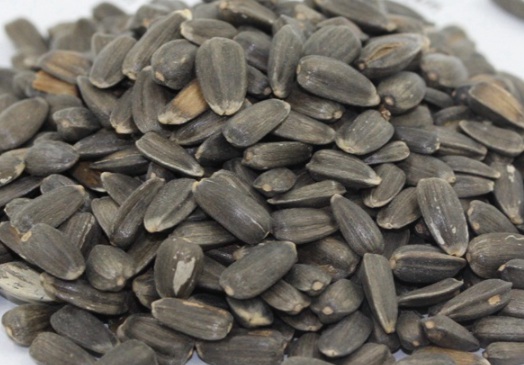 1630122671595874.jpg image.jpg