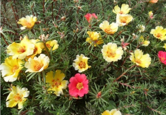 1630122908556311.jpg image.jpg