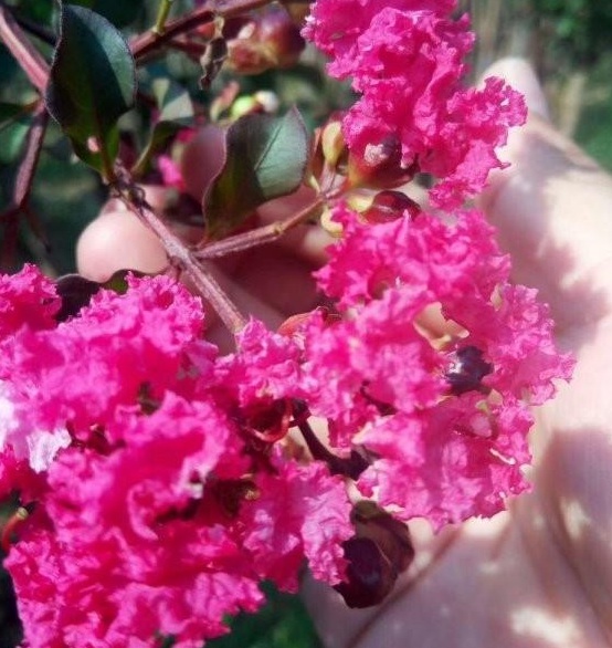 1630134864956784.jpg }ZYTZ1M18RIP4YBZUFP5[2M.jpg