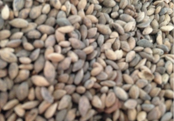 1630236020550176.jpg image.jpg