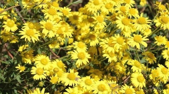 1630237847520747.jpg 9KT[SCHTYGW3(TA`8`1M6@Y.jpg