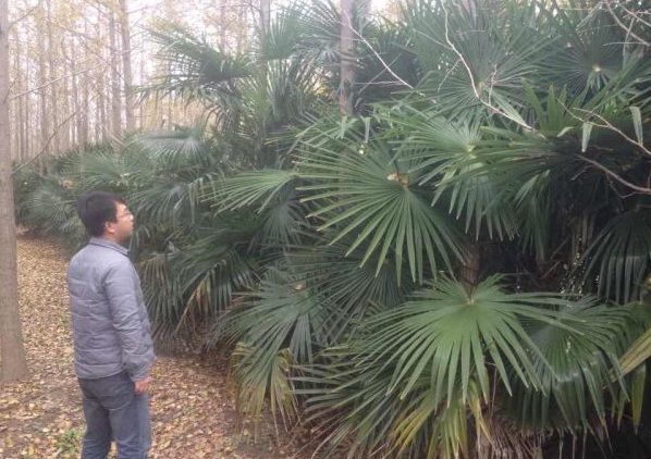 1630239065391266.jpg image.jpg