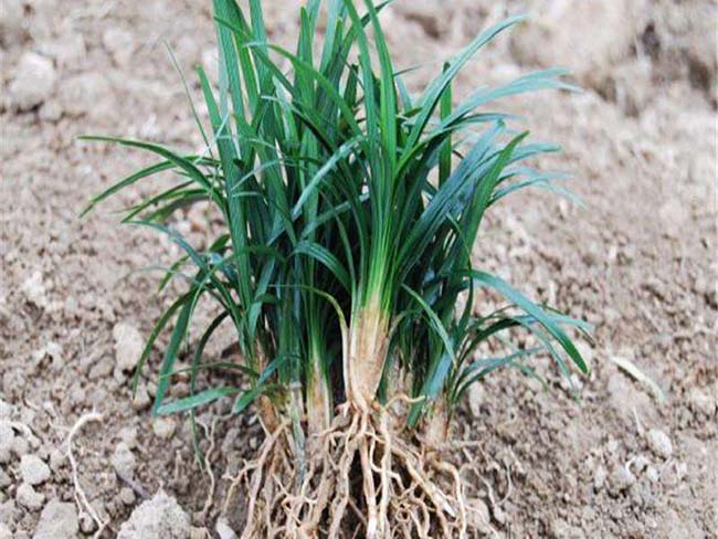 ??￥??????éo|??????é??è??