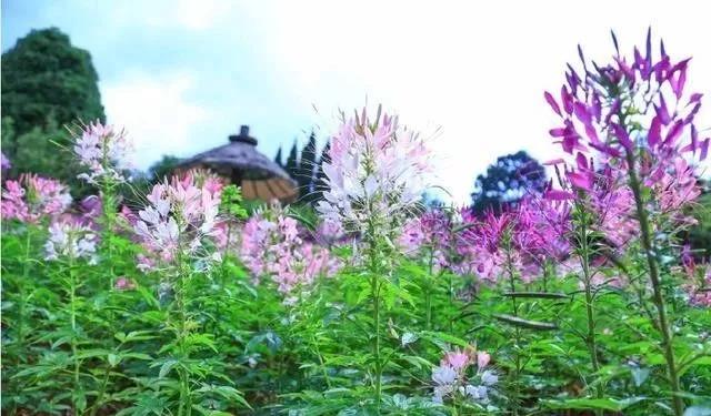 é??è??è?±???????????????????§??¤???1?3?