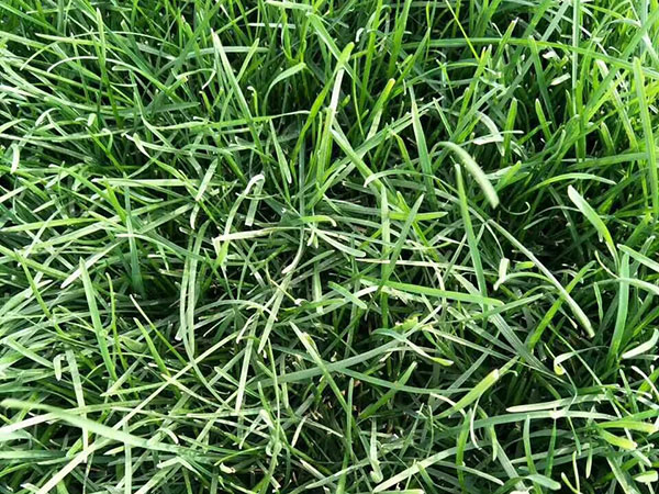 ???????|?è????a??????