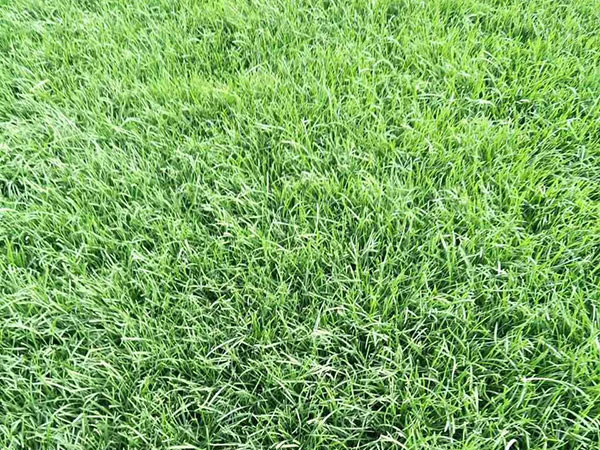 ???????|?è????a??????