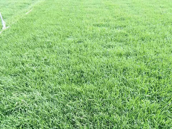 ???????|?è????a??????