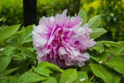 1630395269553752.jpg 1630395269553752.jpg