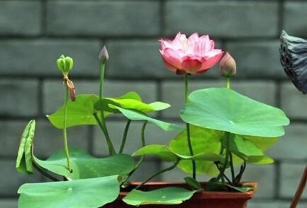 1630417811606981.jpg image.jpg