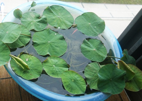 1630417861826057.jpg image.jpg