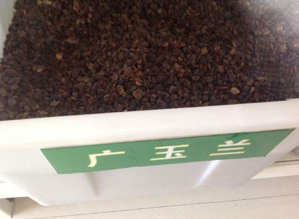 1630480117878625.jpg image.jpg