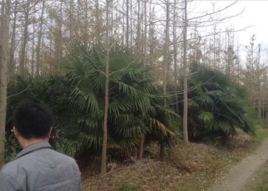 1630483784590587.jpg image.jpg