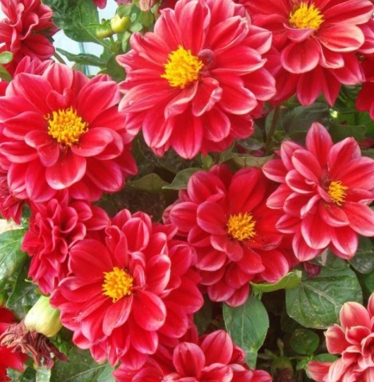 1630500174409888.jpg image.jpg