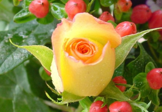 1630502334863780.jpg image.jpg