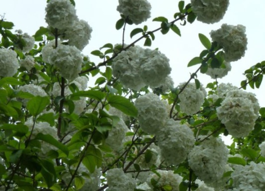 1630548483651062.jpg image.jpg