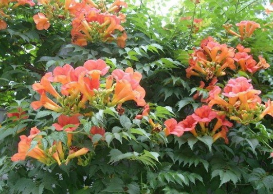 1630548767940801.jpg image.jpg