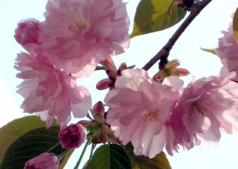 1630670879408891.jpg image.jpg