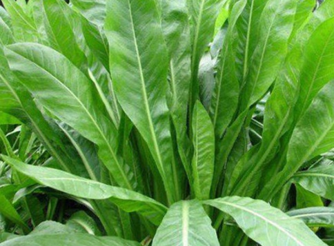 1630674834763662.jpg image.jpg