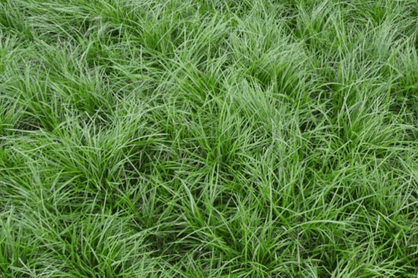 1630748696639663.jpeg 4e30da10704c48da9cde64da82bfaa7a_1629083438788893.jpeg