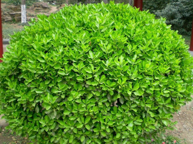 1630757209253979.jpg 1630757209253979.jpg