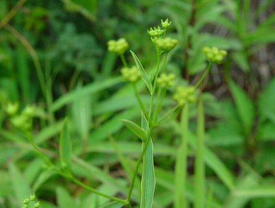 1630757511434497.jpg 1630757511434497.jpg