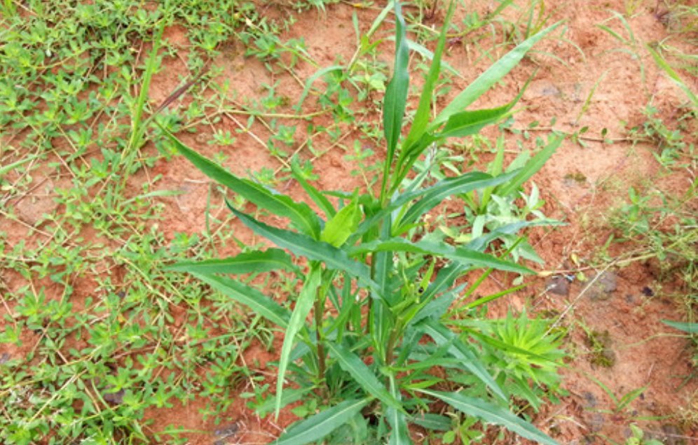 1630757533138535.jpg 1630757533138535.jpg