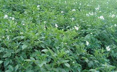 1630757551378639.jpg 1630757551378639.jpg