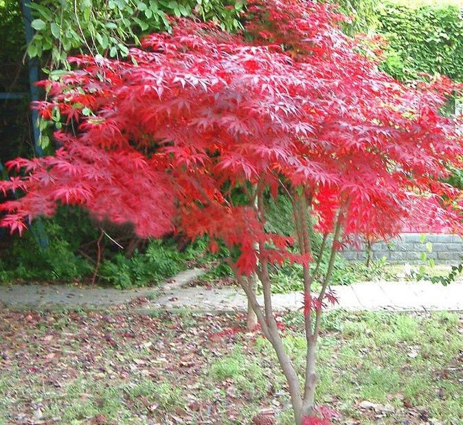 1630761389663849.jpg 1630761389663849.jpg