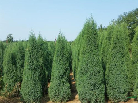 1630765051389198.jpg 1630765051389198.jpg