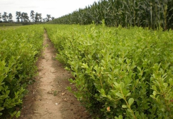 1630901485830182.jpg 1630901485830182.jpg