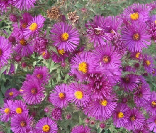 1630909143922160.jpg image.jpg