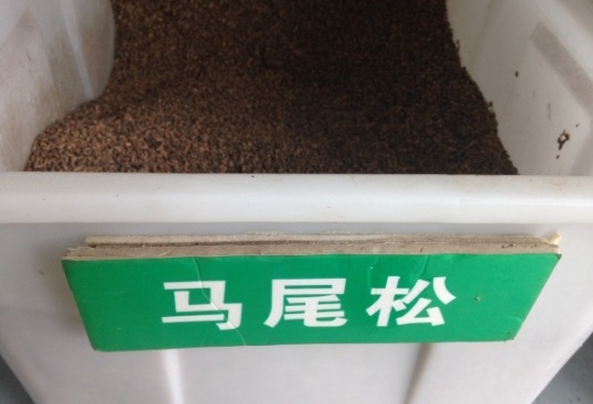 1630909918484381.jpg image.jpg