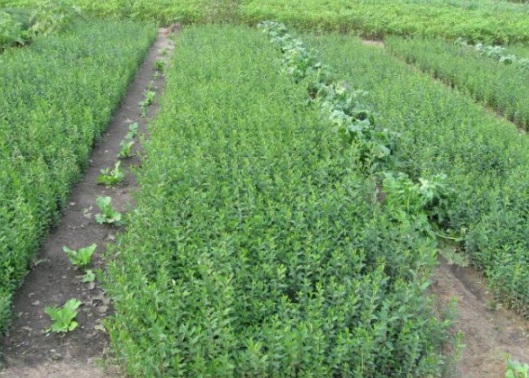 1630918428638473.jpg image.jpg